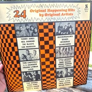 24 Original Happening Hits Vinyl Record